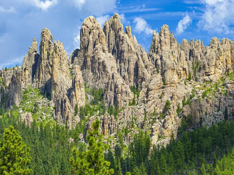 Cathedral Spires In Custer State Park, South Dakota