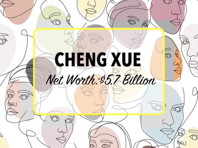 Cheng Xue Net Worth