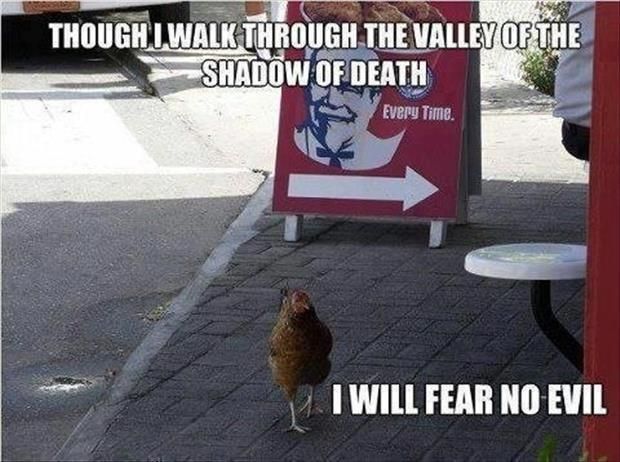 Chicken in front of KFC