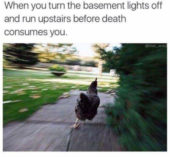Chicken running away meme