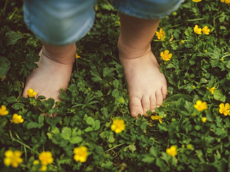 Child's feet on the green grass
