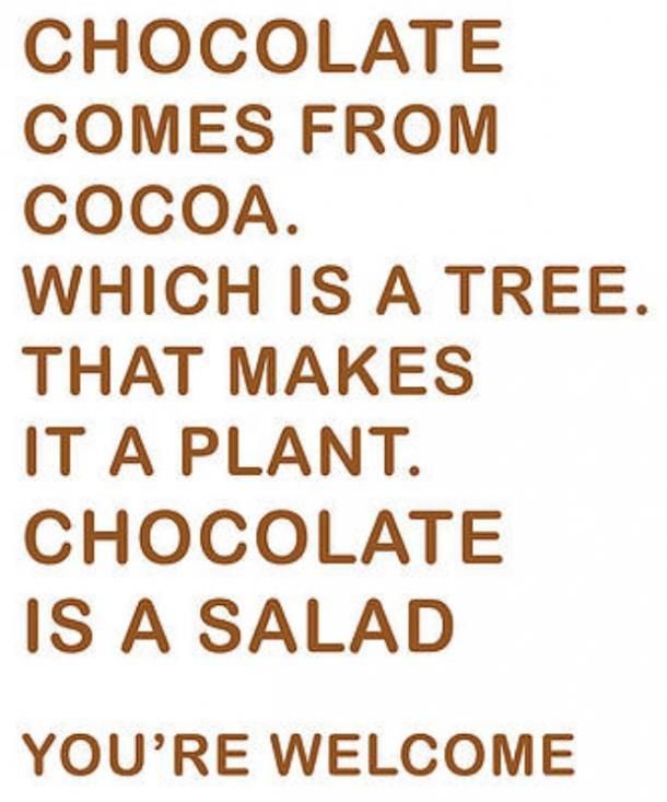 Chocolate comes from cocoa