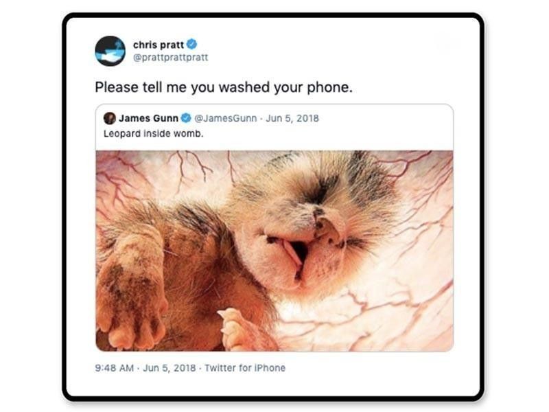 Chris Pratt tweet about a baby leopard
