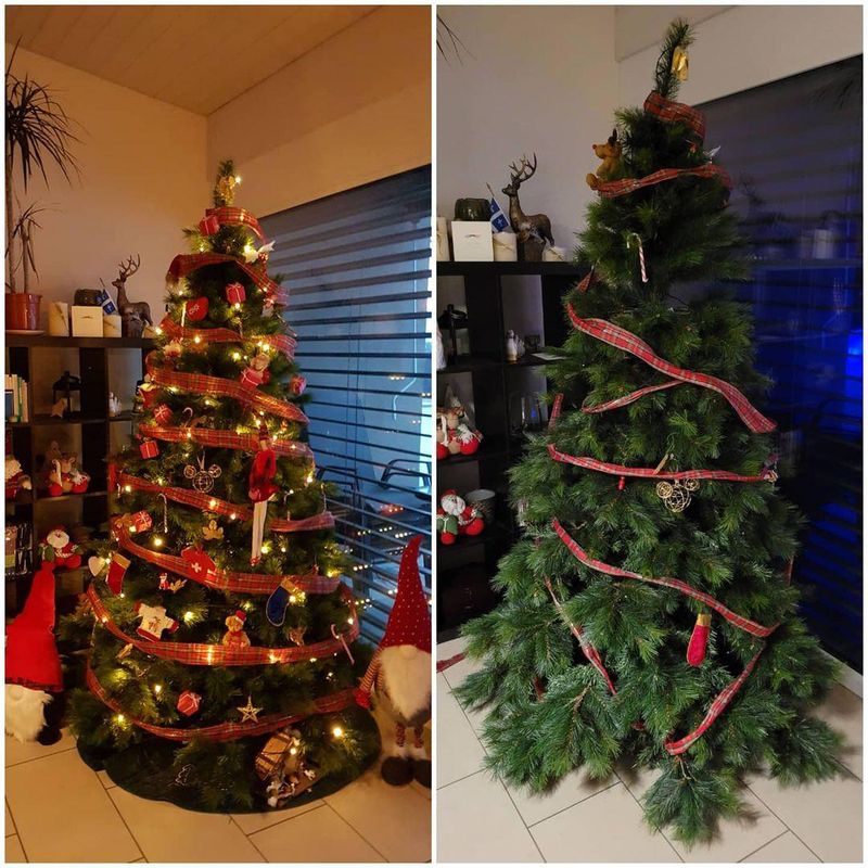 Christmas decoration expectation vs. reality
