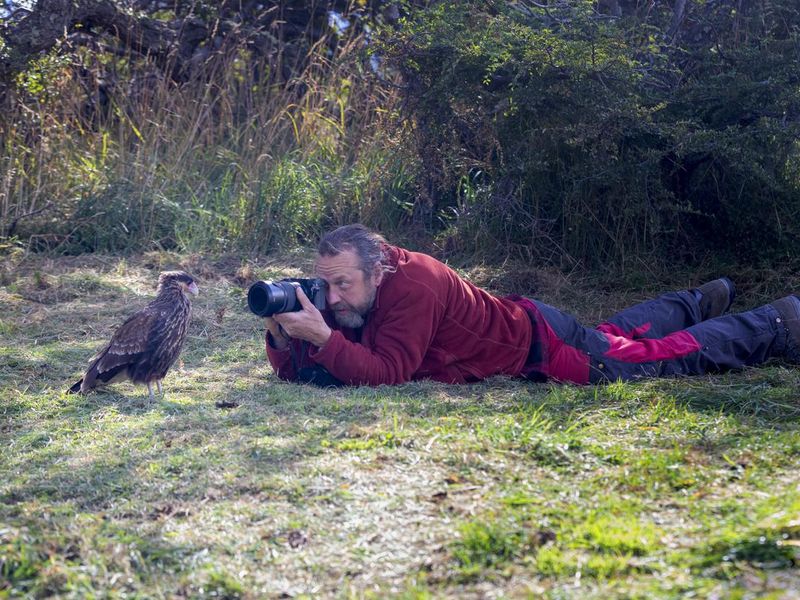 Clumsy nature photographer with crested caracara Bird in Patagonia
