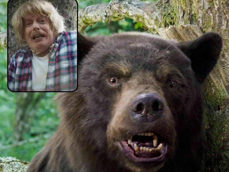 Cocaine bear grizzly bear attack
