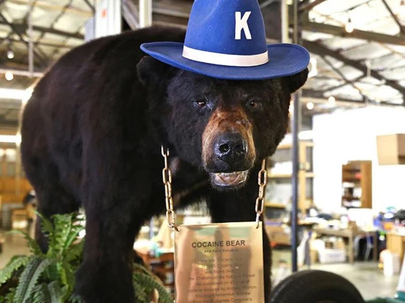 'Cocaine Bear' in Kentucky