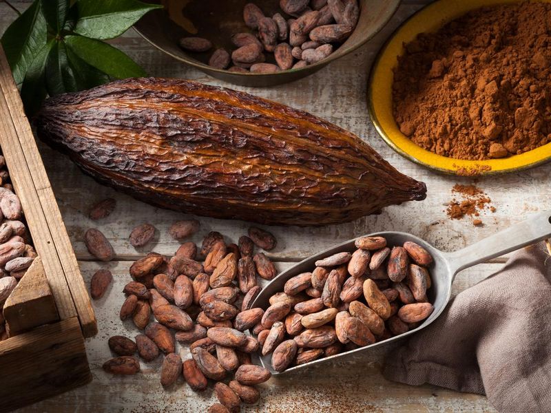 Cocoa beans and pod