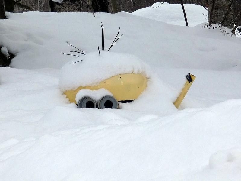 Cold-Weather Memes: Minion buried in snow