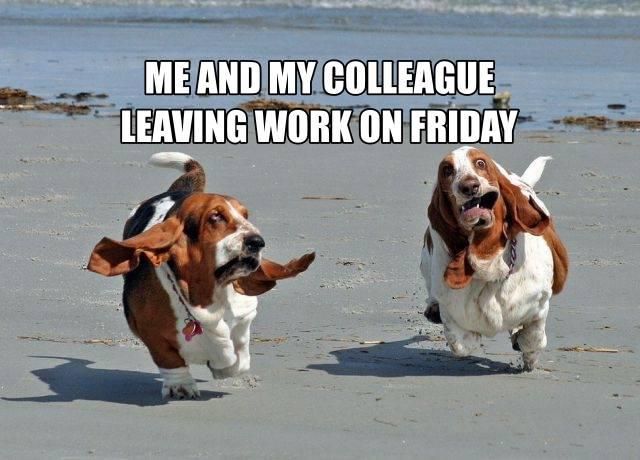 Colleagues leaving work on Friday meme