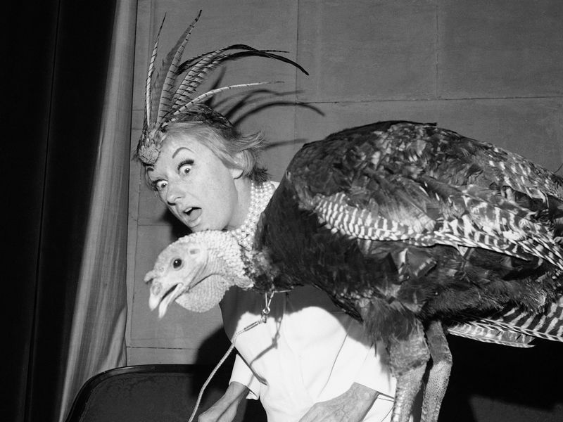 Comedian Phyllis Diller and her turkey friend, Tom