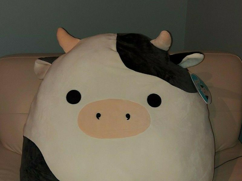 Connor the Cow Rare Squishmallow
