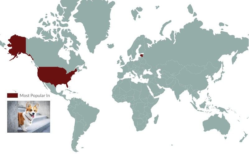Corgi popularity map