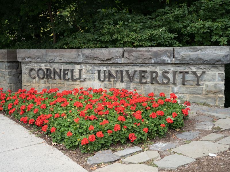 Cornell University entrance sign