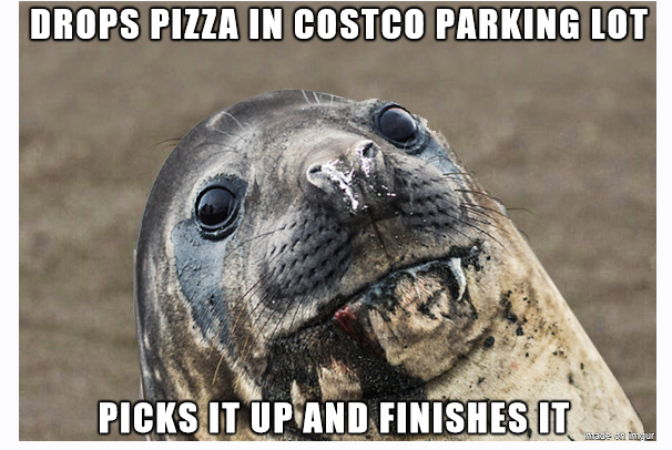 Costco food meme with seal