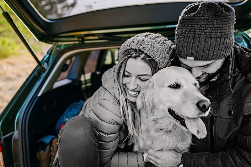 Couple and their dog sitting the trunk of a car