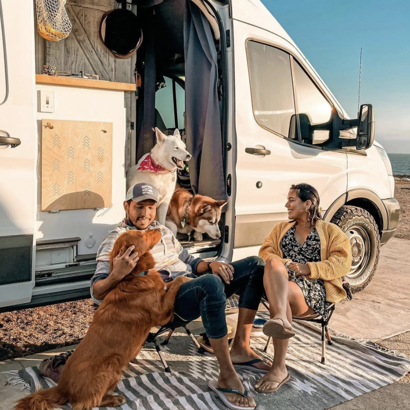 Couple in van with pets