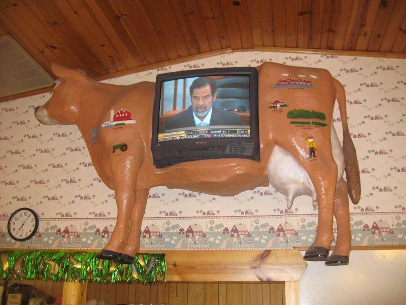 cow tv