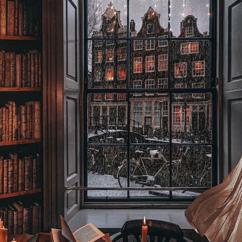 Cozy library with big window