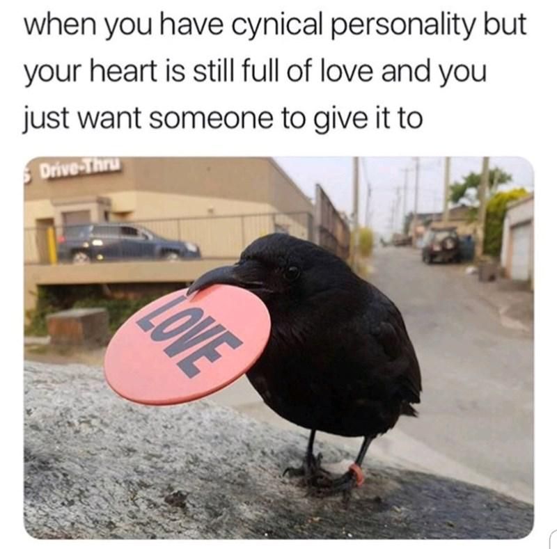 Crow with a love button