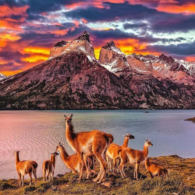 Cuernos del Paine in Patagonia