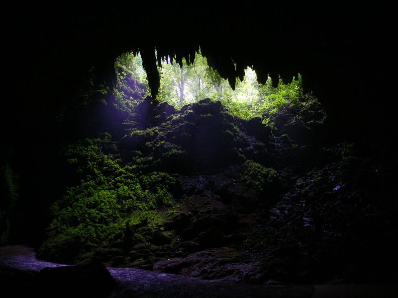 Cueva Clara, Camuy River Cave System Park