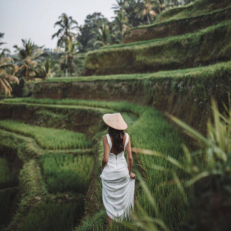 Cultural Landscape of Bali Province