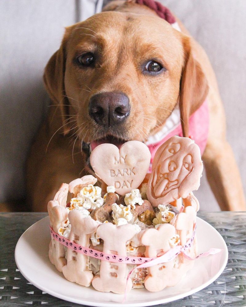 Cute dog birthday cake