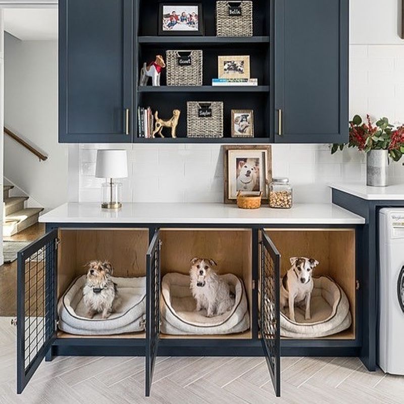 Cute Dog Room Ideas (That Are Easy to Create)