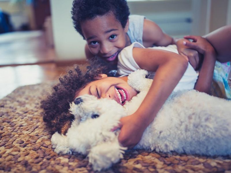 Cute, mixed race siblings and their dog