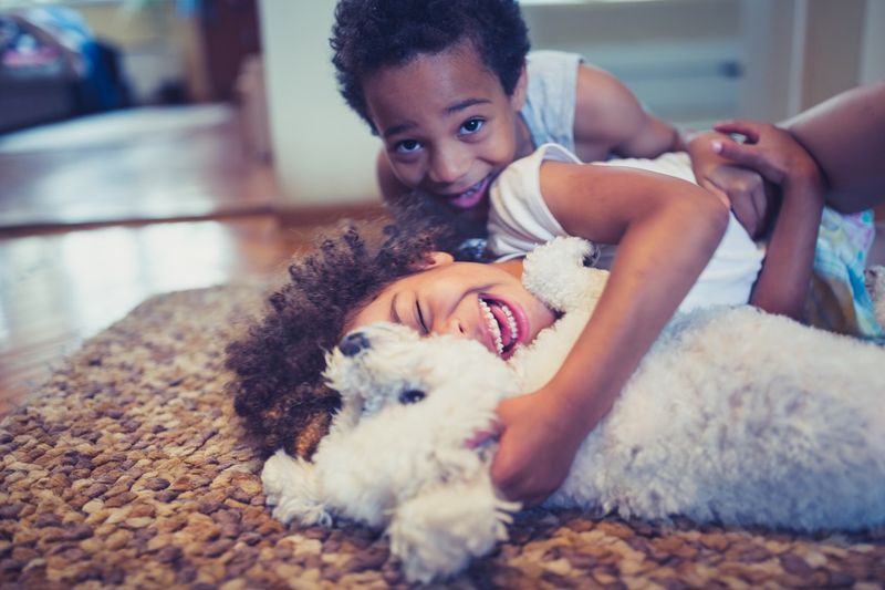 Cute, mixed race siblings and their dog