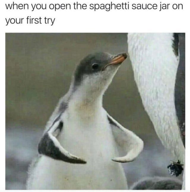 Cute penguin meme