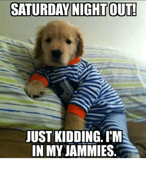 Cute puppy in pajamas Friday meme