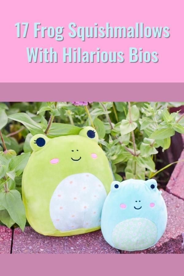 17 Funny Frog Squishmallows With Hilarious Bios