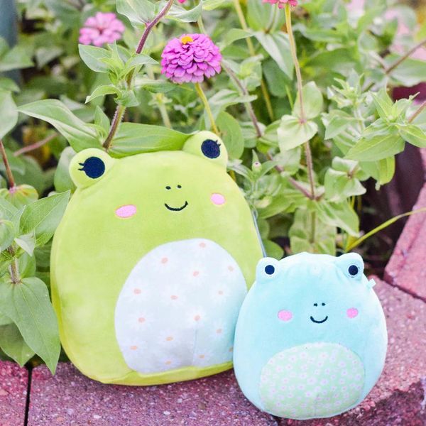 These Funny Frog Squishmallows Have Hilarious Bios