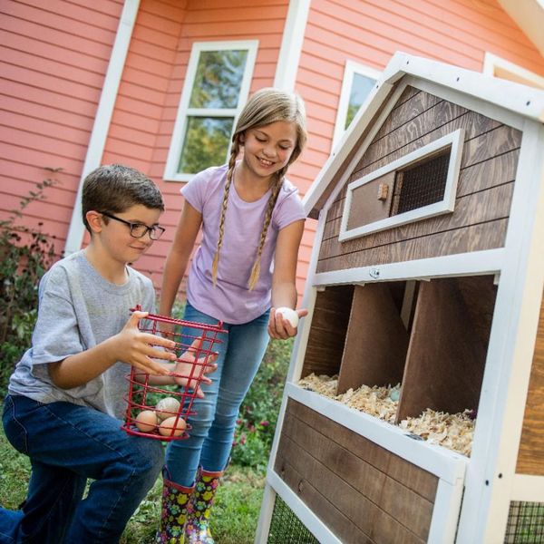 Tractor Supply Chicken Coops We'd Want If We Were Chickens