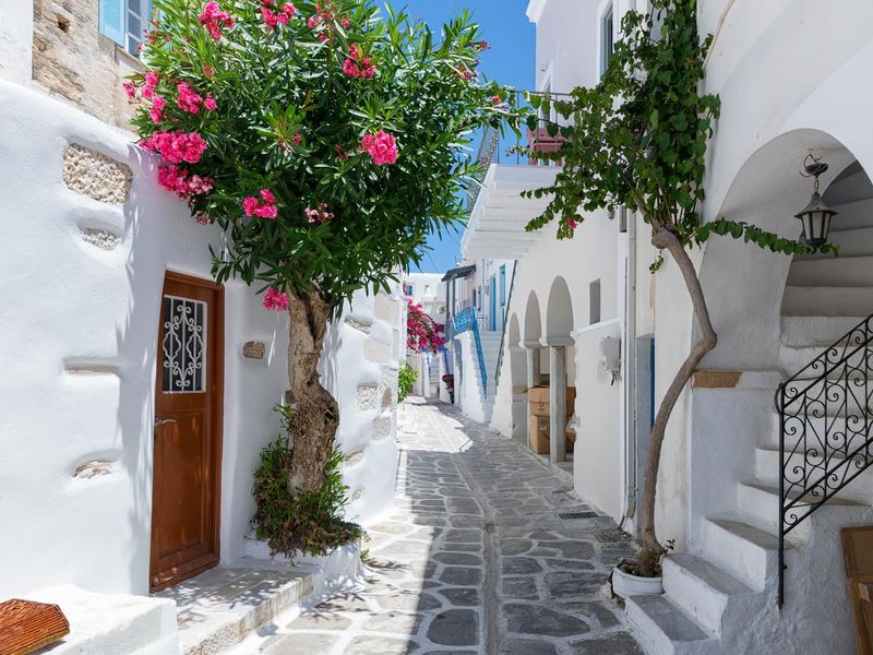 Cycladic, whitewashed alleys with colorful flowers in Parikia on the Greek island of Paros
