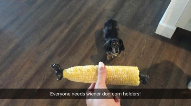 Dachshund corn holders