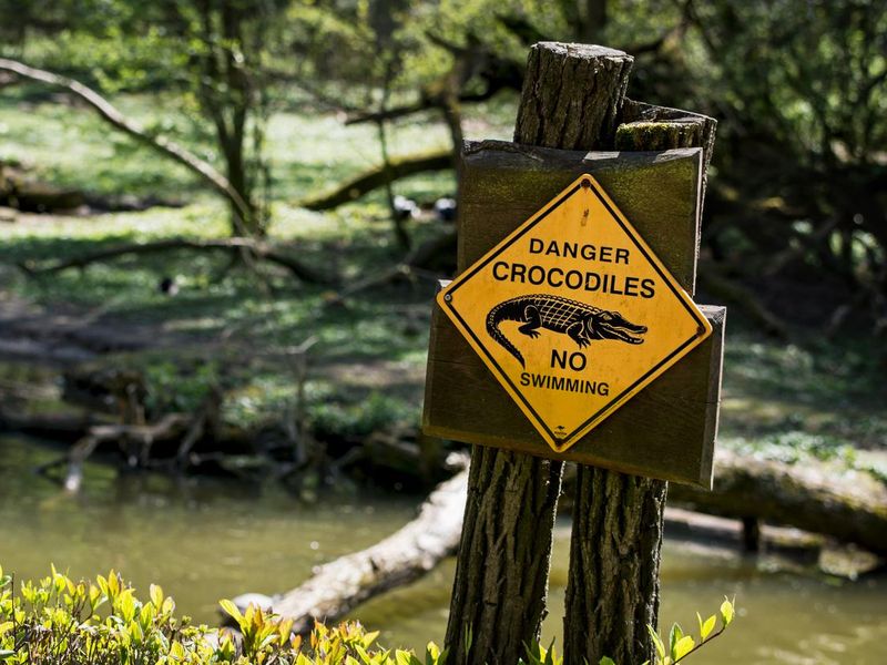 Danger crocodiles warning sign