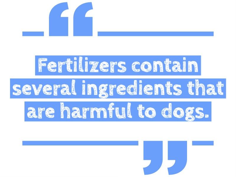 Dangerous for dogs to eat fertilizer