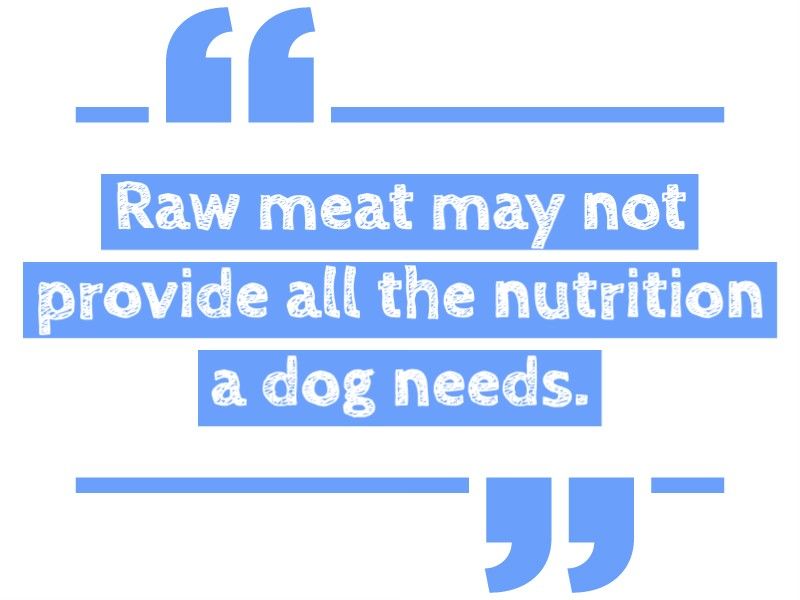 Dangerous for dogs to eat raw meat