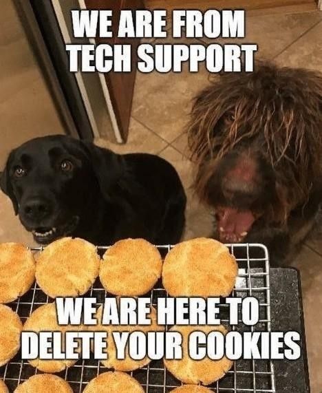 'Delete your cookies' dog meme
