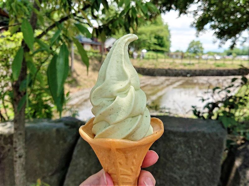 Delicious wasabi ice cream at the famous wasabi farm in Azumino, Nagano
