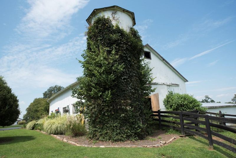 Depp home's barn in Kentucky