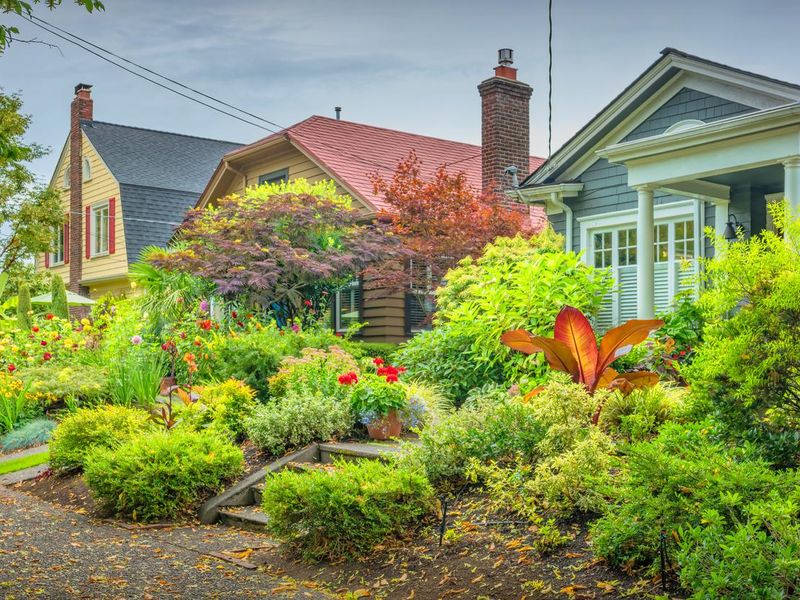 Detached houses and green front yards in Queen Anne district, Seattle, Washington