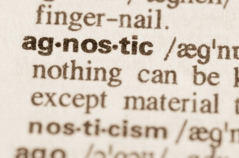 Dictionary definition of word agnostic