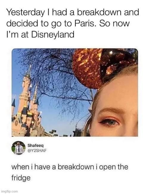 Disneyland Meme