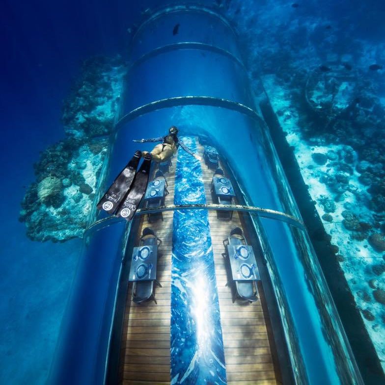 Diver over 5.8 Undersea restaurant