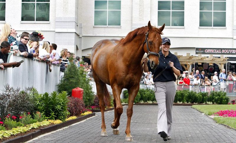 Dixie Hayes, Funny Cide