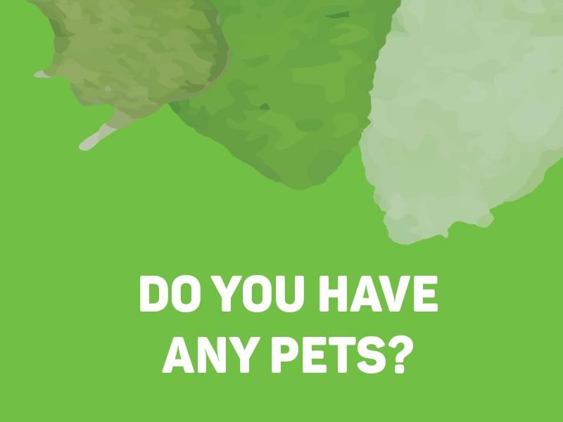 Do You Have Any Pets?